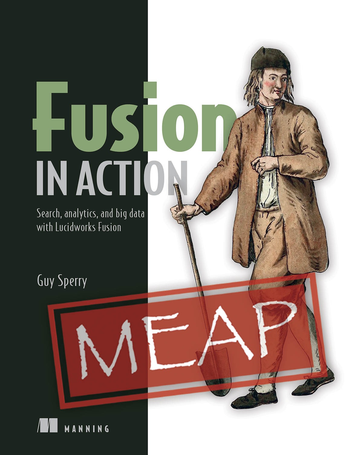 Fusion in Action book cover