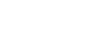 ACE Hardware Lucidworks Customer