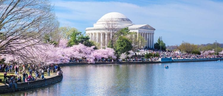 Jefferson Memorial and Crowds, Cherry Blossom Festival by Tidal Basin