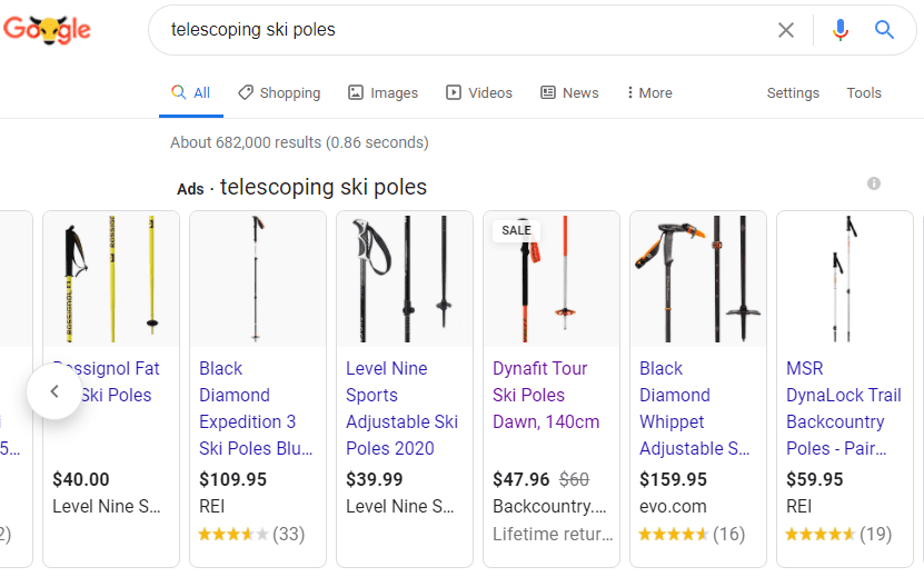 Search results on Google for 'telescoping ski poles'