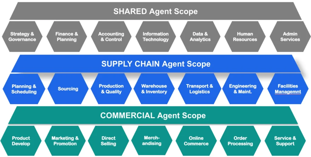 Framework for organizational agent scopes